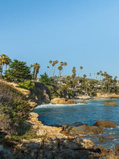 Rocky coves, palms and homes along Heisler Park in Laguna Beach